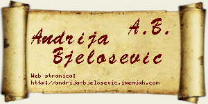 Andrija Bjelošević vizit kartica